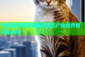 快猫麻豆草莓视频高清无广告免费看精彩内容