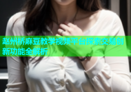 赵州桥麻豆教学视频平台探索交易创新功能全解析