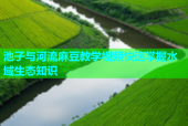 池子与河流麻豆教学视频快速掌握水域生态知识