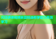 元日讲课视频麻豆精选教学助力高效学习