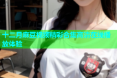 十二月麻豆视频精彩合集高清在线播放体验