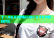 十二月麻豆视频精彩合集高清在线播放体验