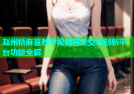 赵州桥麻豆教学视频探索交易创新平台功能全解