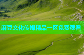 麻豆文化传媒精品一区免费观看