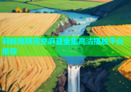 调教视频完整麻豆全集高清播放平台推荐