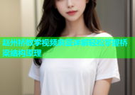 赵州桥教学视频麻豆详解轻松掌握桥梁结构原理