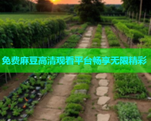免费麻豆高清观看平台畅享无限精彩  第1张