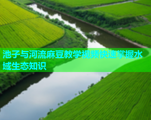池子与河流麻豆教学视频快速掌握水域生态知识  第1张