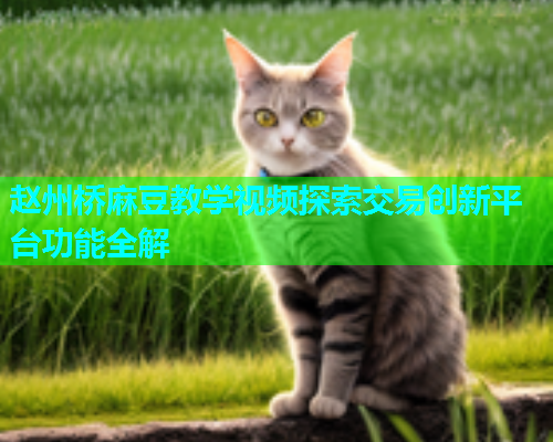 赵州桥麻豆教学视频探索交易创新平台功能全解  第2张