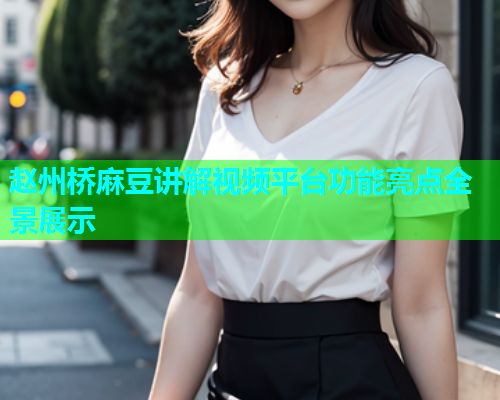 赵州桥麻豆讲解视频平台功能亮点全景展示  第1张