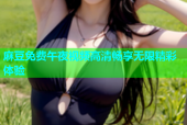 麻豆免费午夜视频高清畅享无限精彩体验