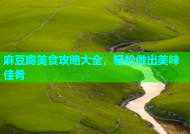 麻豆腐美食攻略大全，轻松做出美味佳肴