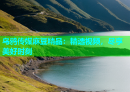 乌鸦传媒麻豆精品：精选视频，尽享美好时刻
