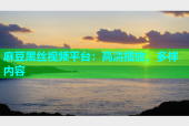 麻豆黑丝视频平台：高清播放，多样内容