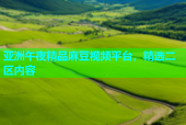 亚洲午夜精品麻豆视频平台，精选二区内容