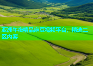 亚洲午夜精品麻豆视频平台，精选二区内容