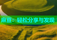 麻豆：轻松分享与发现