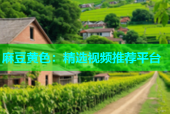 麻豆黄色：精选视频推荐平台