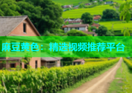 麻豆黄色：精选视频推荐平台