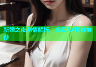 新婚之夜剧情解析，麻豆AV精选推荐