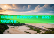 麻豆黄库：黄金资源聚集地，轻松获取优质内容