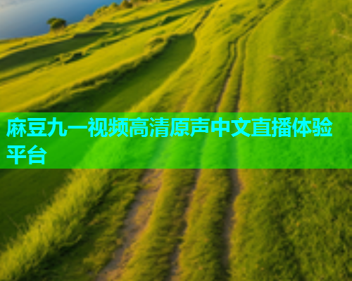 麻豆九一视频高清原声中文直播体验平台  第2张